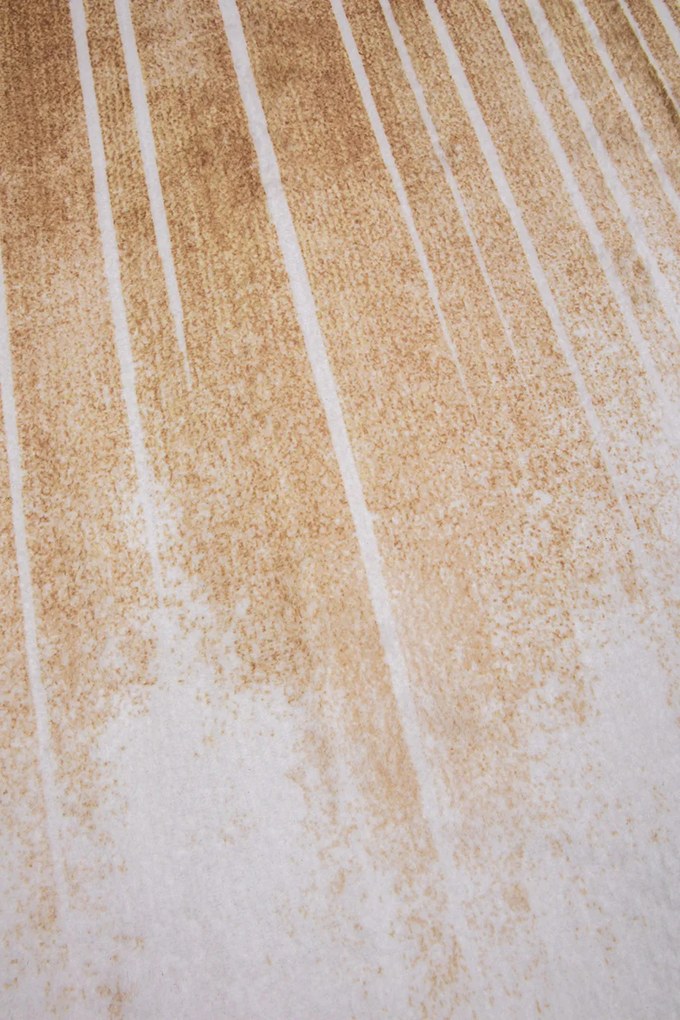 Koberec Canes KLXD220428 rozmery koberec: 160x230 cm