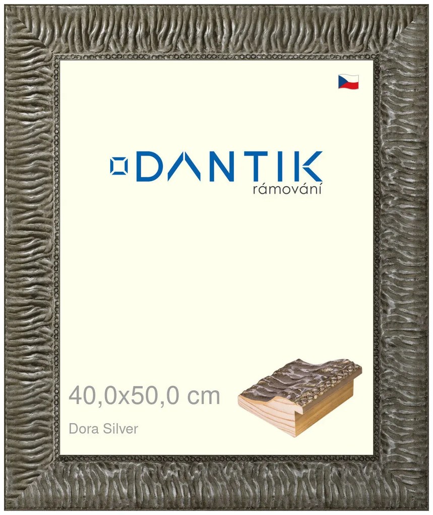 DANTIK rám na obraz 40x50 | Dora Silver (Plexi Čiré)