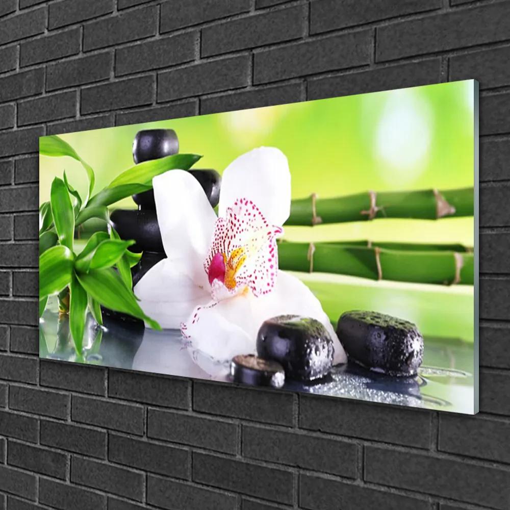 Skleneny obraz Orchidea kamene zen bambus 100x50 cm