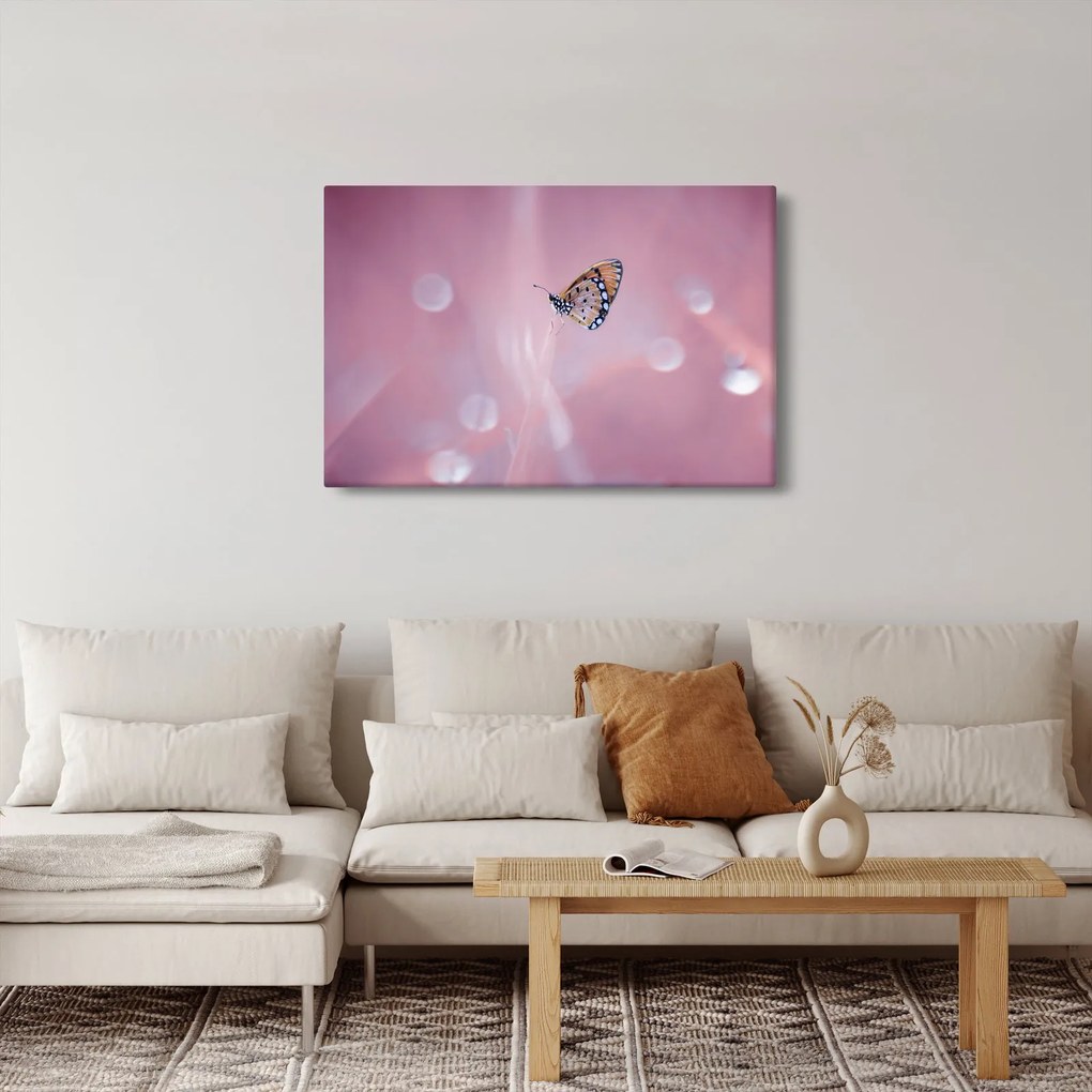 Obraz - Motýlik (90x60 cm)