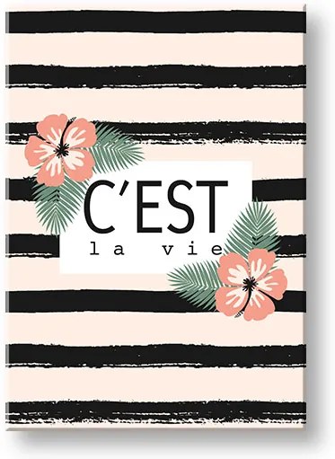 Obraz na stenu s textom C est la vie | rôzne rozmery