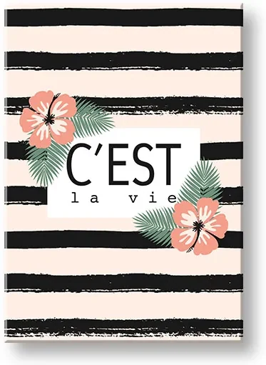 Obraz na stenu s textom C est la vie | rôzne rozmery