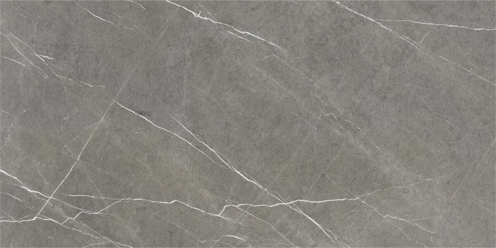 Dlažba Eternal Dark Natural 60x120 R