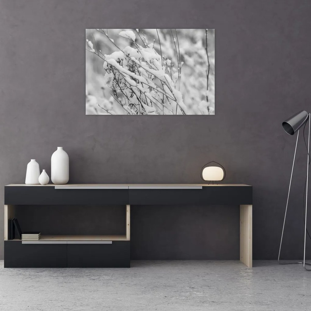 Obraz - Zasnežené vetvy (90x60 cm)
