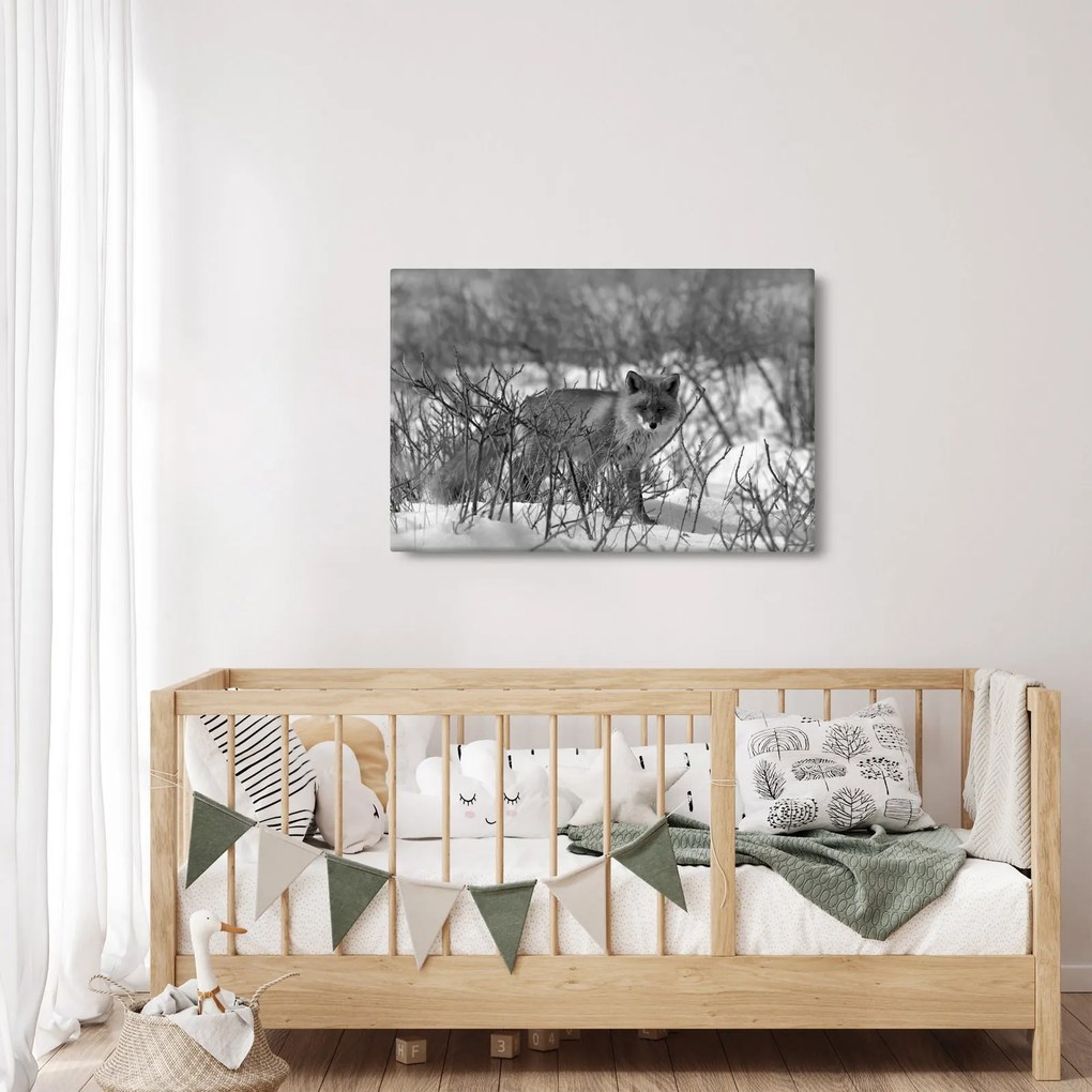 Obraz - Líška v zime (90x60 cm)