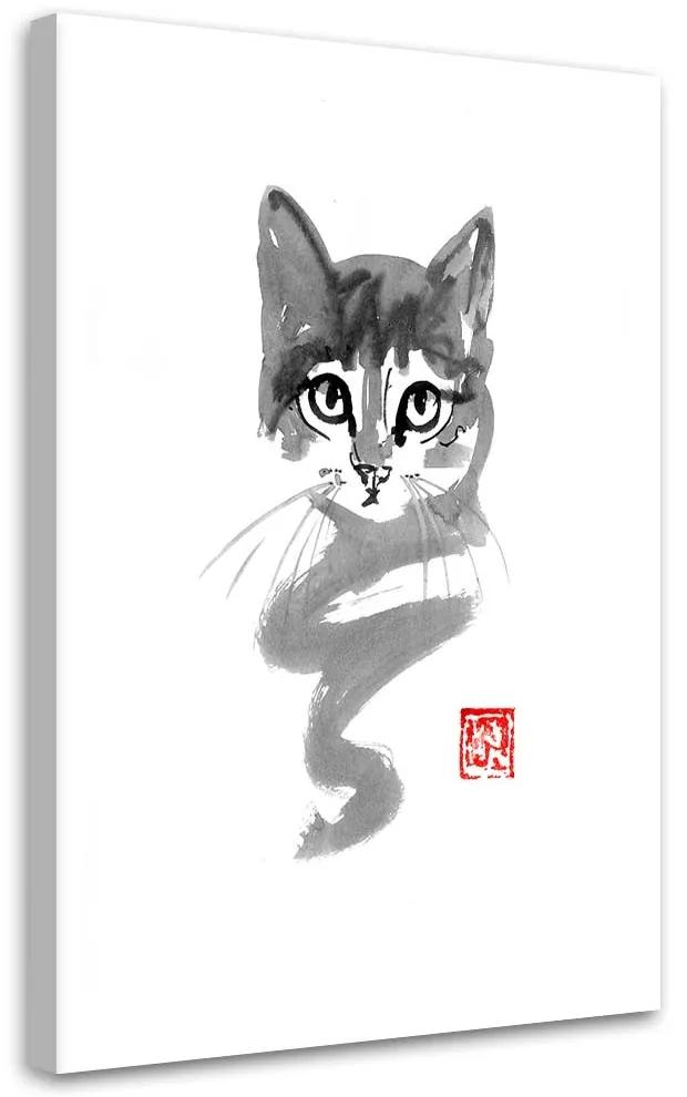 Gario Obraz na plátne Mladé mačiatko - Péchane Rozmery: 40 x 60 cm