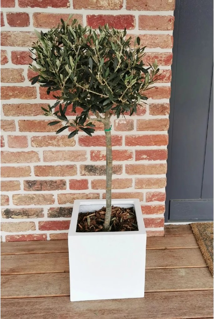 Kvetináč BLOCK, sklolaminát, 30x30x30 cm, biely mat