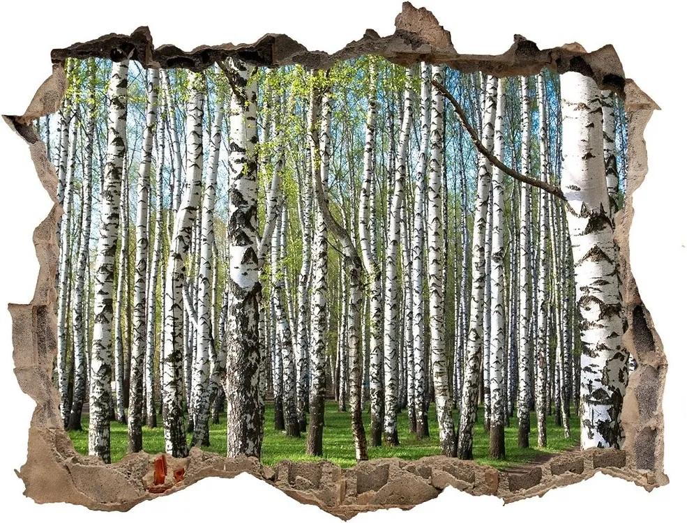 Nálepka fototapeta 3D výhled Břízový les WallHole-95x64-kamien-64516023