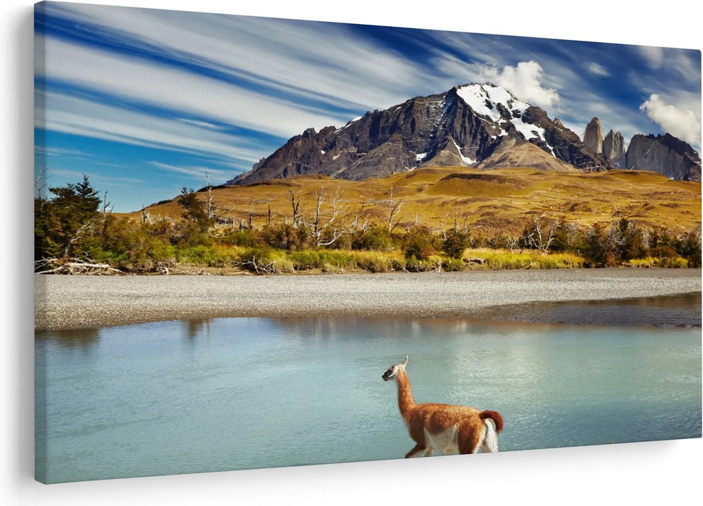 Obraz - Národný park Torres del Paine (90x60 cm)