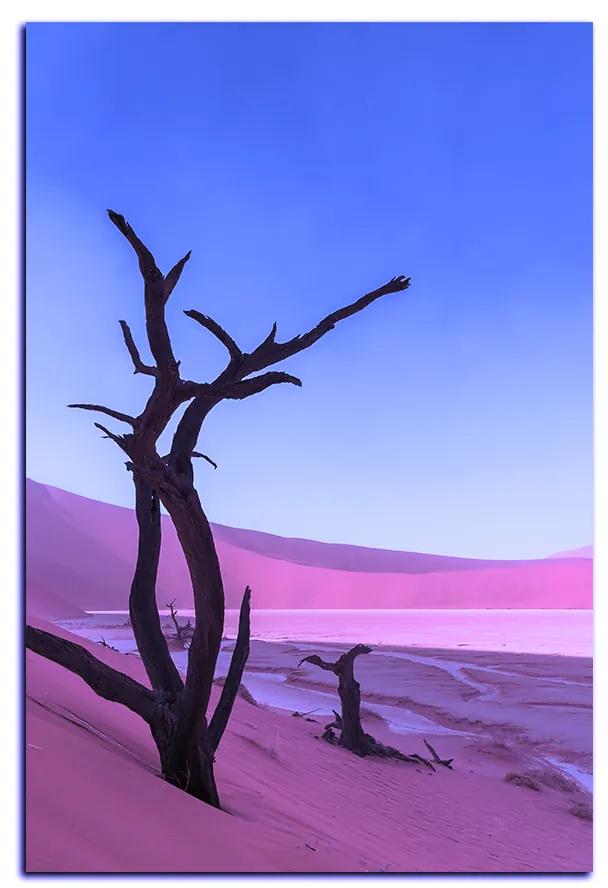 Obraz na plátne - Mŕtvy strom v dunach - obdĺžnik 7130FA (90x60 cm  )