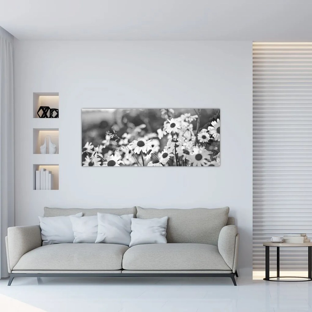 Obraz - Kopretiny (120x50 cm)