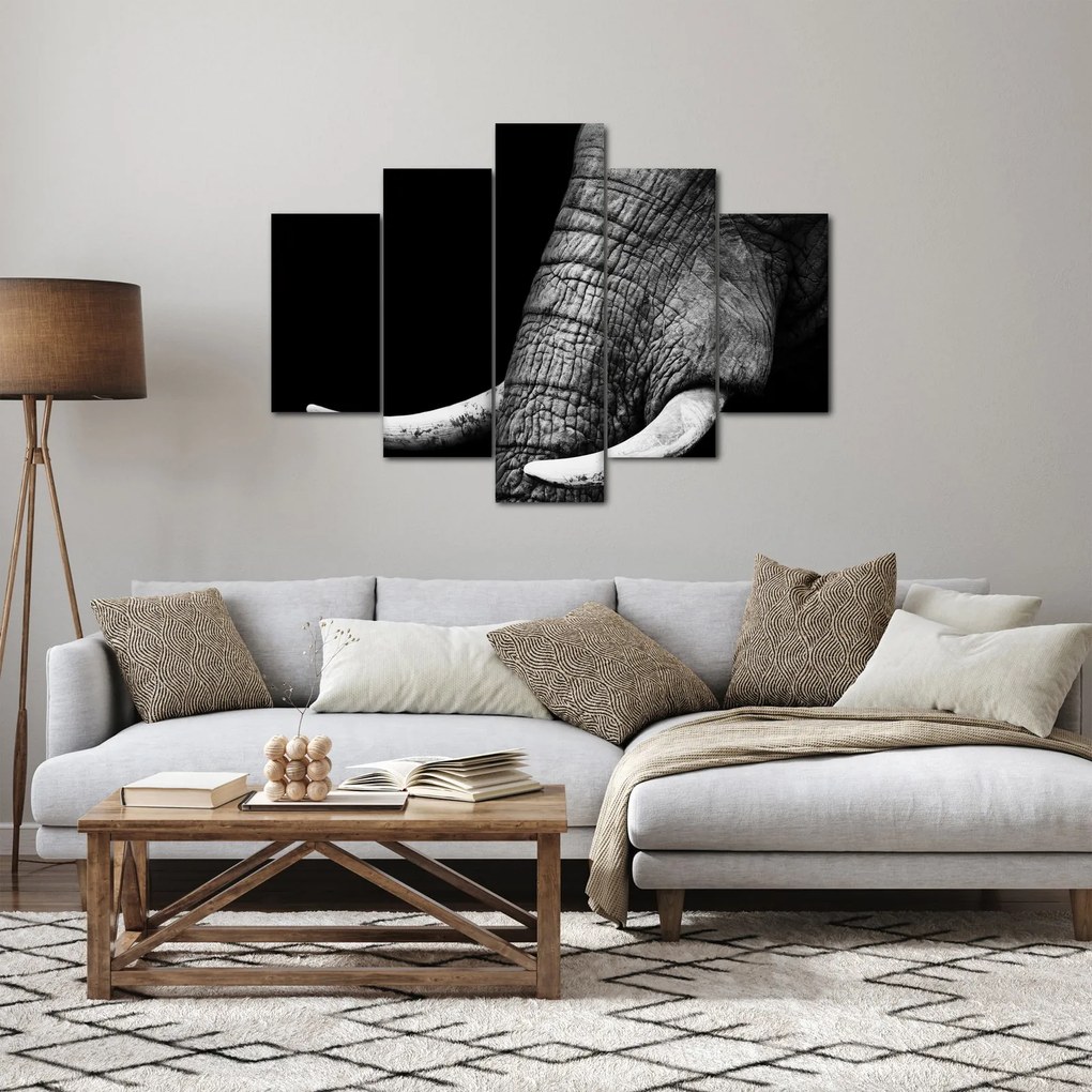 Obraz - Slonie kly (150x105 cm)