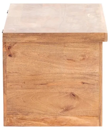 furniture-nabytek.cz - Masívna truhlica Delhi z mangového dreva, hnedá – 88×88×44 cm