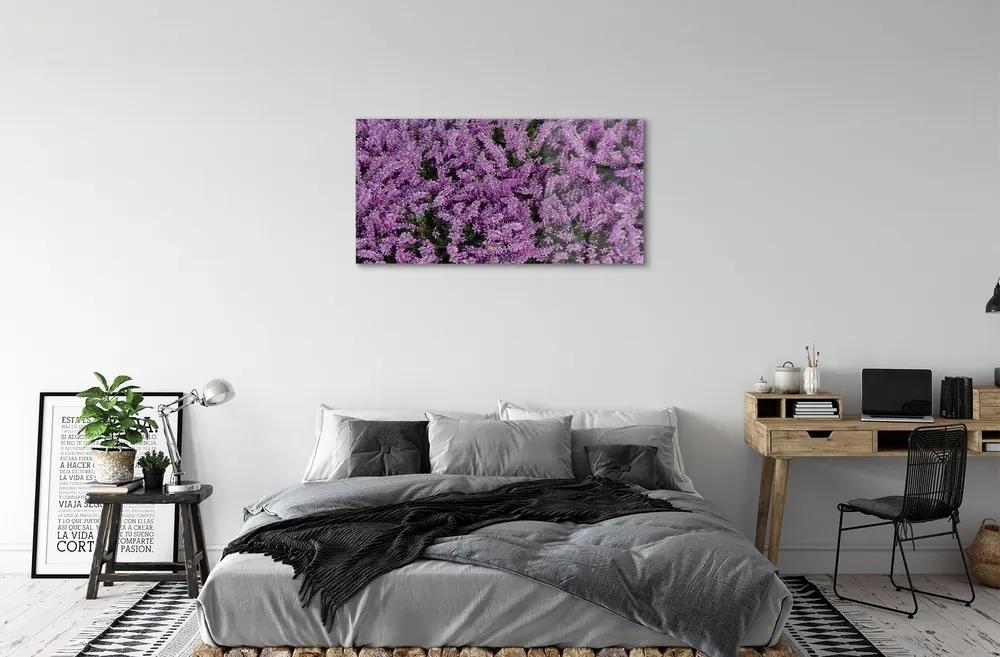 Sklenený obraz fialové kvety 100x50 cm
