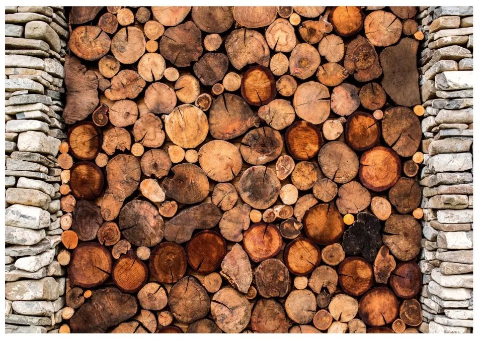 Tapeta na stenu Wooden Gate