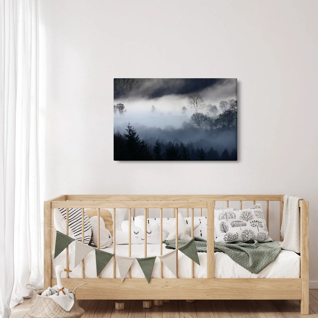Obraz hmly nad lesom (90x60 cm)