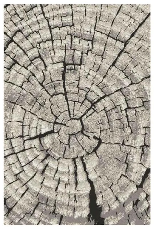 Koberec Frisee Phoenix 1,6/2,3 6021 244