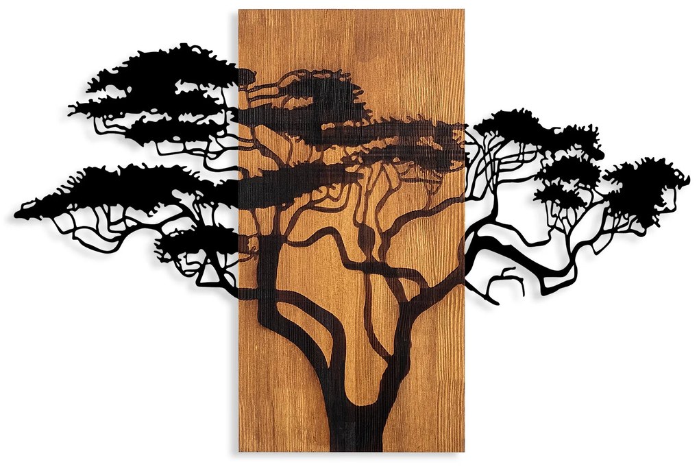 Acacia Tree - 387