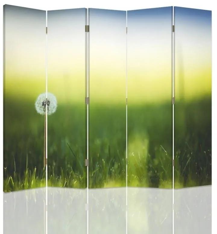 Ozdobný paraván, Pampeliška v zelené trávě - 180x170 cm, päťdielny, obojstranný paraván 360°