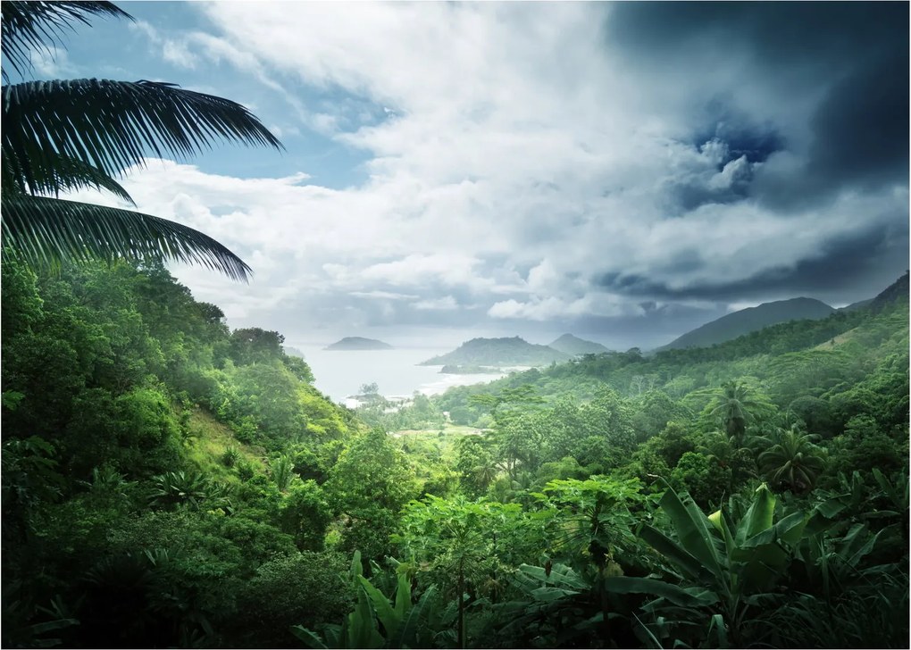 Sklenený obraz - Seychelská jungle (70x50 cm)