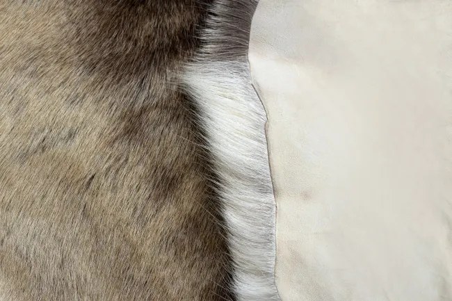 Koberec RENIFER POK016 hnedý / béžový