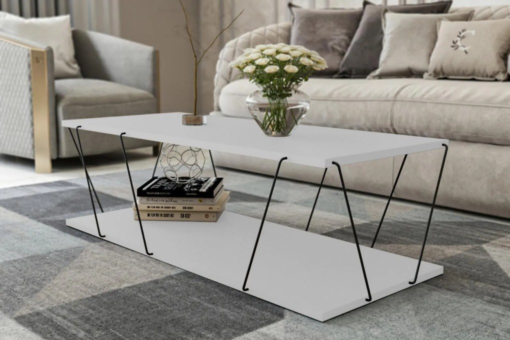 Hanah Home -  Moderný konferenčný stolík CANAZ 120 cm, MDF, biely, čierny