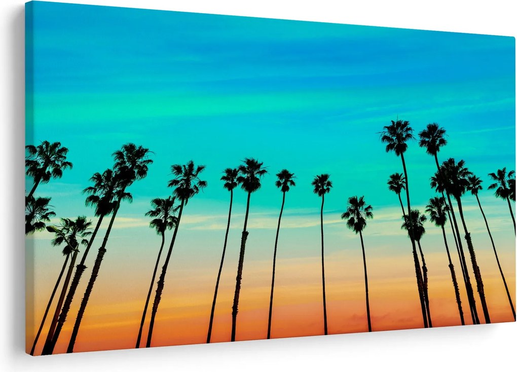 Obraz - Kalifornia (90x60 cm)