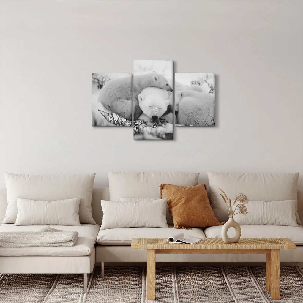 Obraz - Ľadové medvede (90x60 cm)