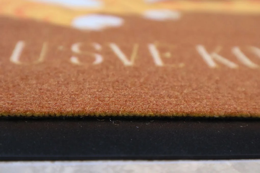 Mercury Flooring, Rohožka Bývame u svojej mačky 40x60 cm, 40x60, oranžová