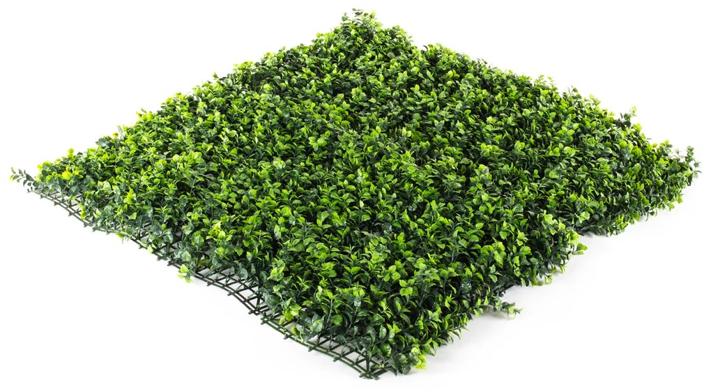Umelý živý plot Hawaj Buxus High | stena 100 x 100 cm
