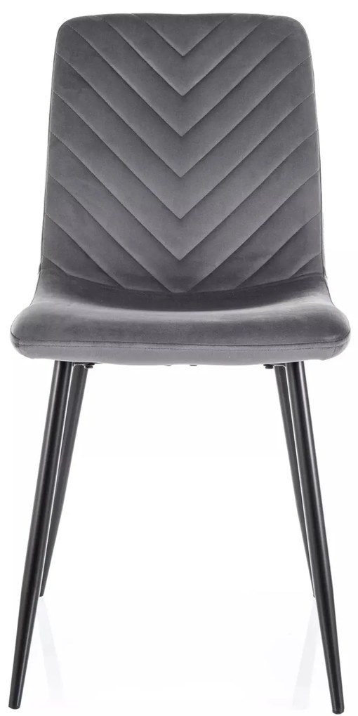 Čalouněná jídelní židle Daren Velvet šedá