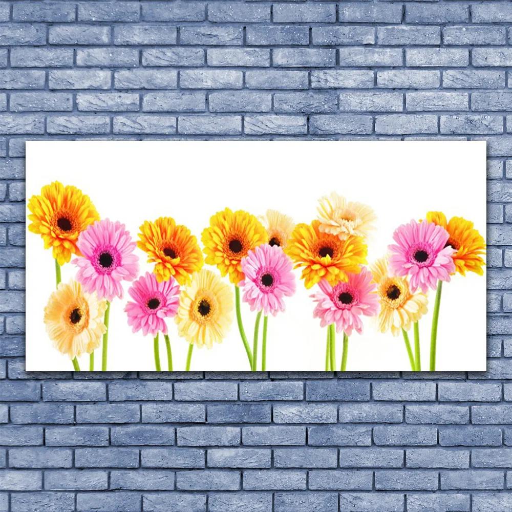 Obraz plexi Farebné kvety gerbery 120x60 cm