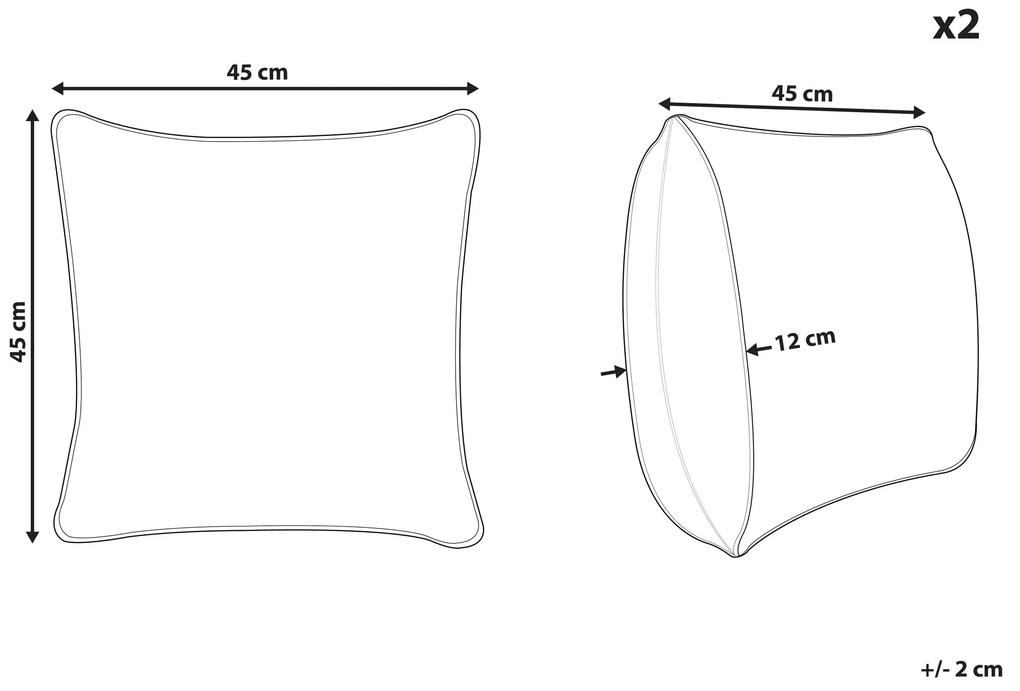 Sada 2 vankúšov so vzorom chevron 45 x 45 cm sivá LUPINE Beliani