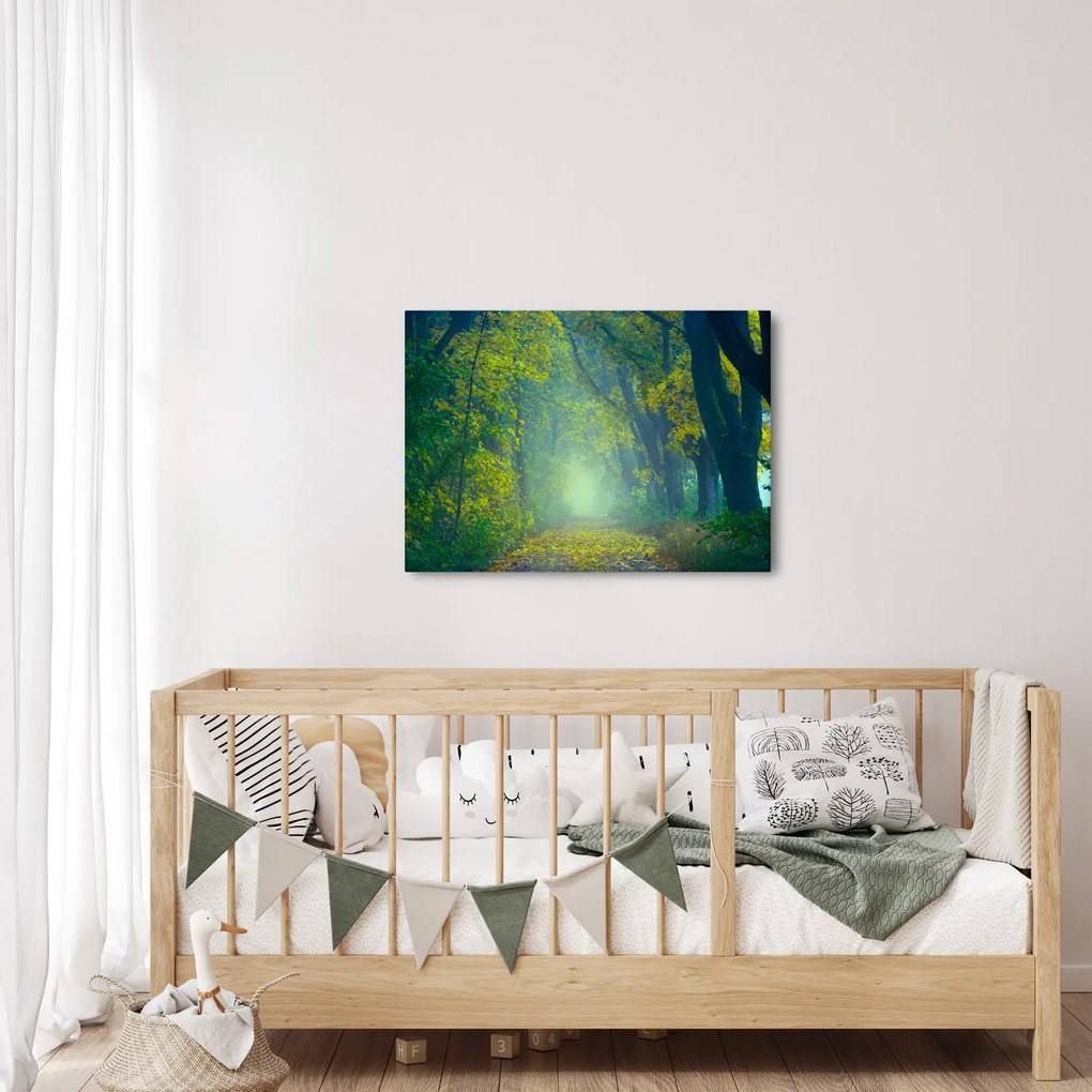 Obraz cesty lemovanej stromami (70x50 cm)