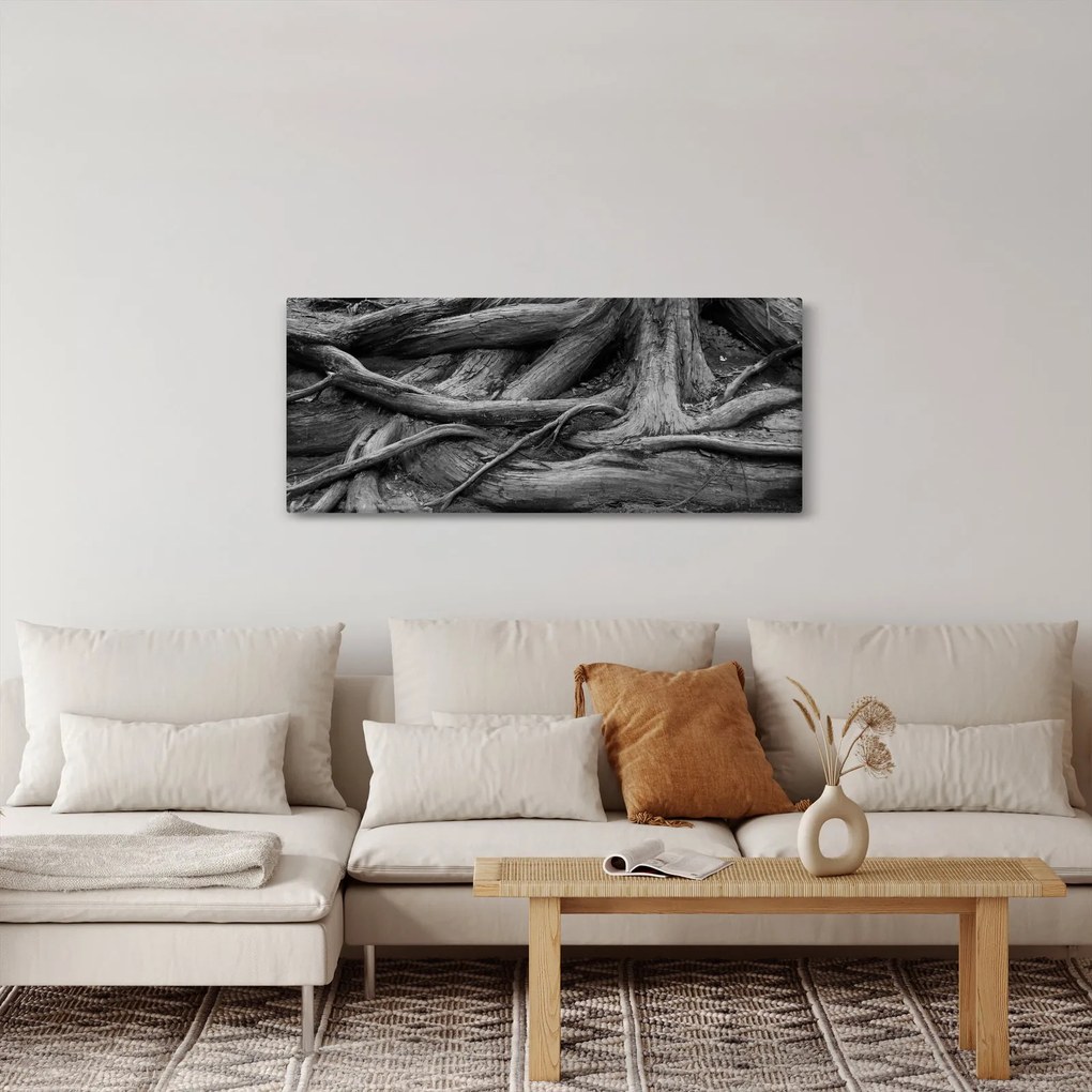 Obraz - Korene stromu (120x50 cm)