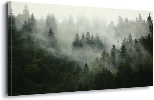 GLIX Obraz na plátne - Misty Forest 60x40 cm