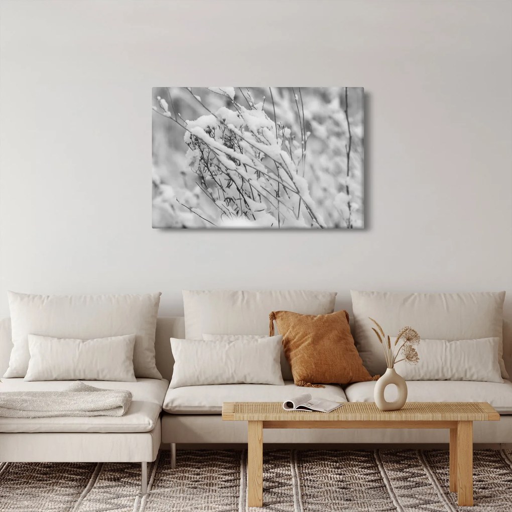 Obraz - Zasnežené vetvy (90x60 cm)