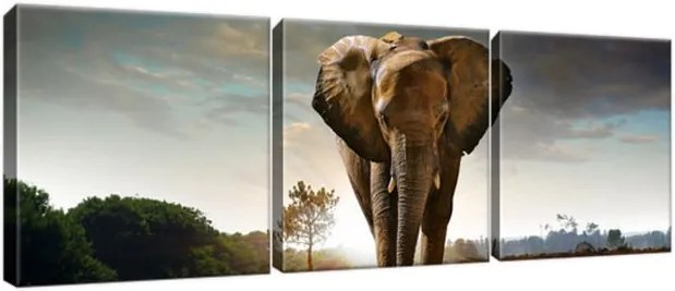 Obraz na plátne Osamelý silný slon 90x30cm 2479A_3A