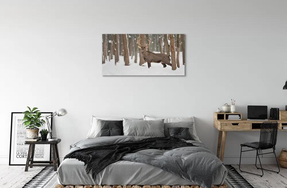 Obraz na plátne Jeleň zimné les 120x60 cm