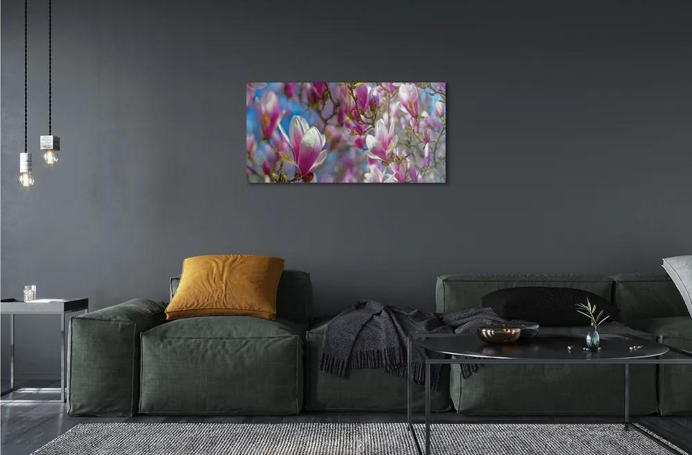 Sklenený obraz magnólia strom 120x60 cm