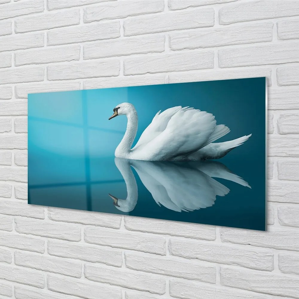 Sklenený obraz Swan vo vode 120x60 cm