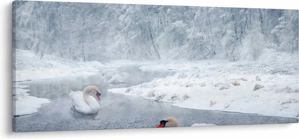 Obraz labutí (120x50 cm)