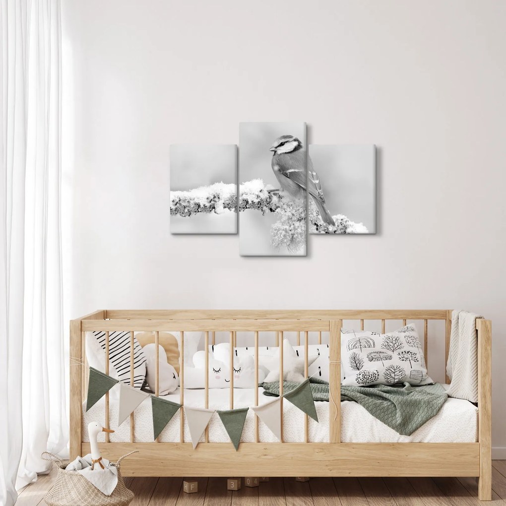 Obraz - Vtáčik na vetve (90x60 cm)