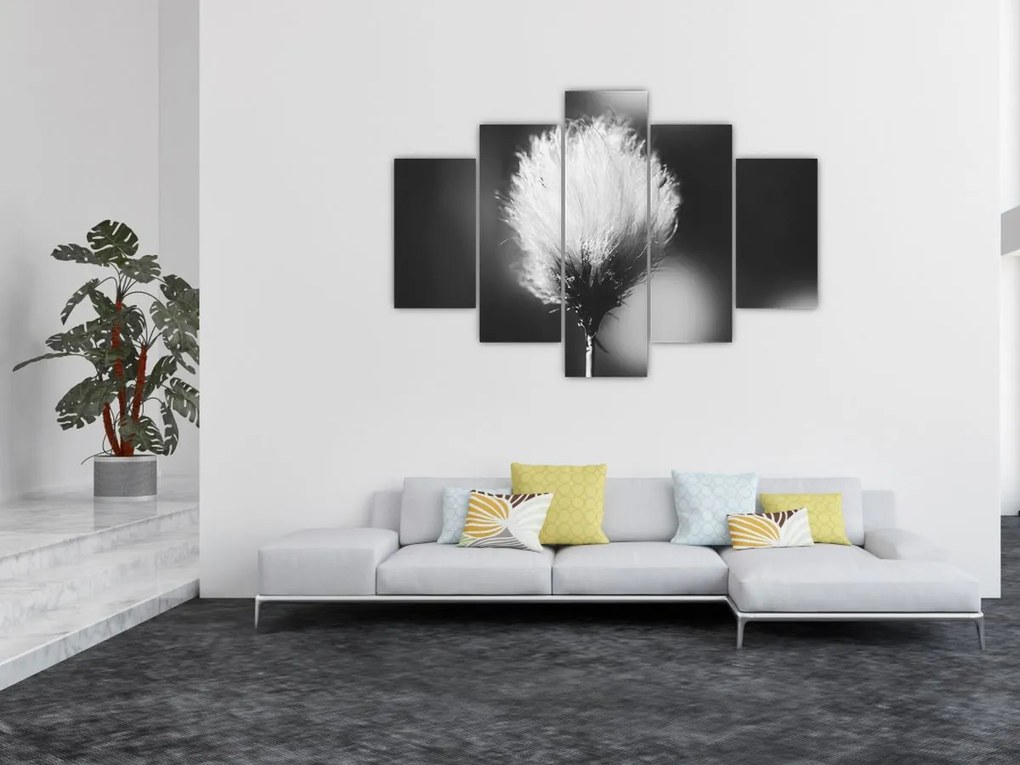 Obraz - Čiernobiely cottongrass (150x105 cm)