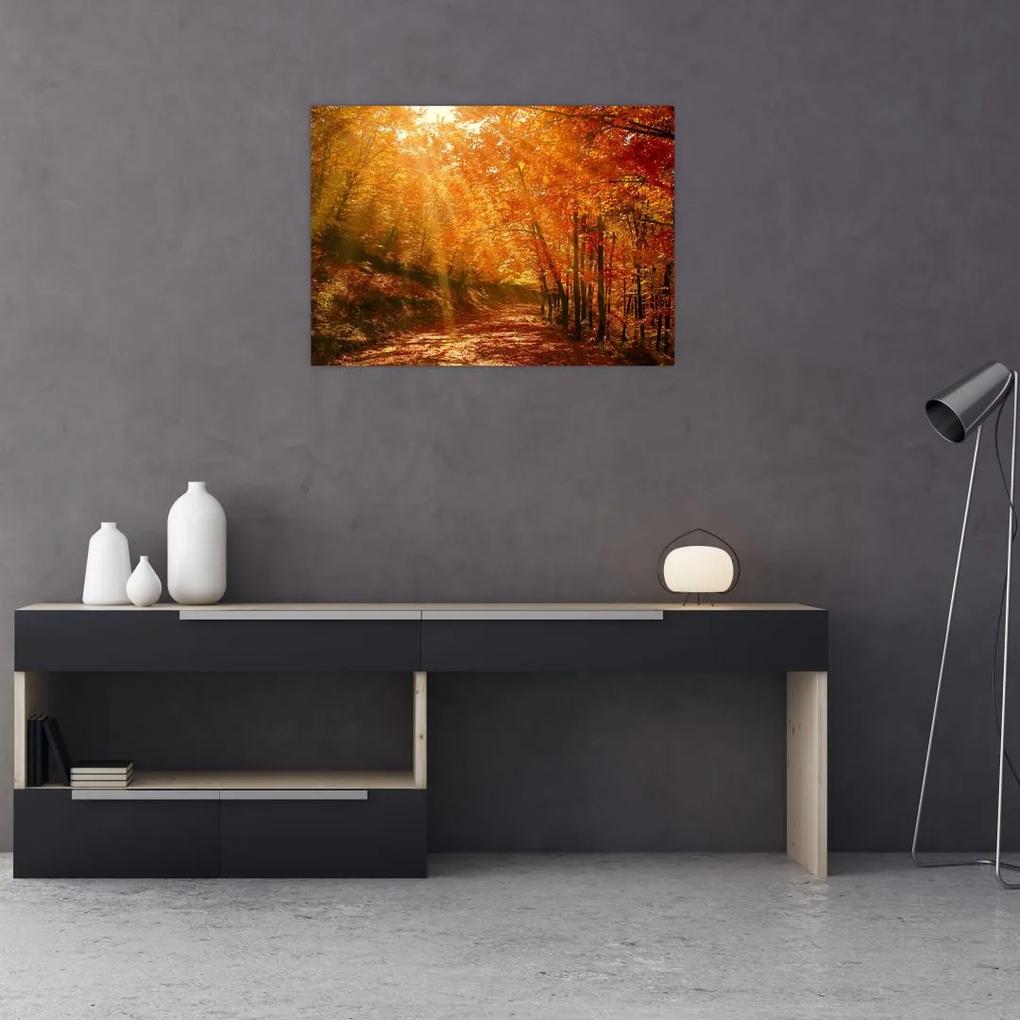 Sklenený obraz jesenného lesa (70x50 cm)