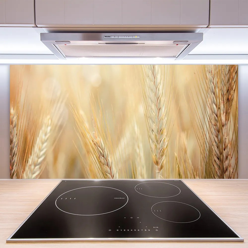 Sklenený obklad Do kuchyne Pšenica rastlina príroda 120x60 cm