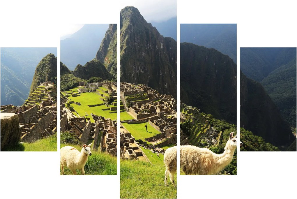 Obraz - Lamy v Machu Picchu (150x105 cm)