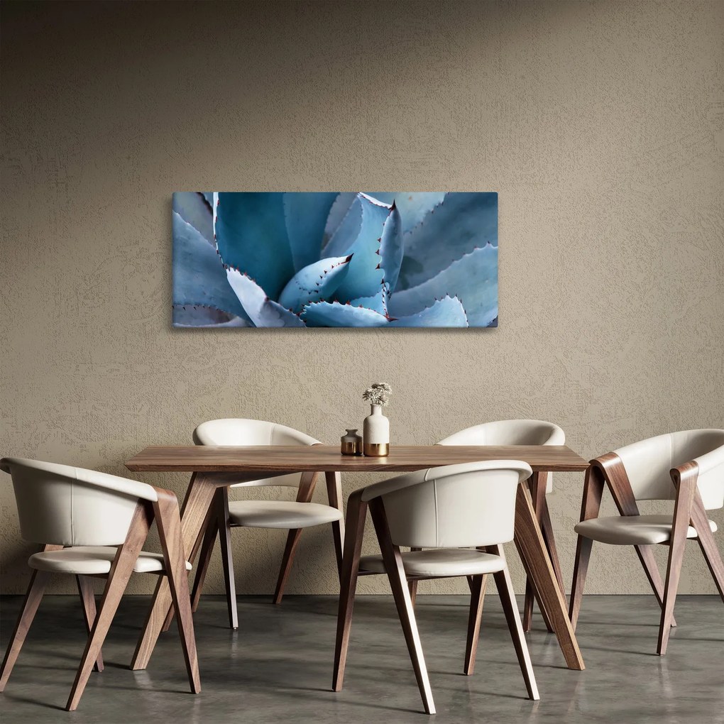 Obraz - Agáve (120x50 cm)