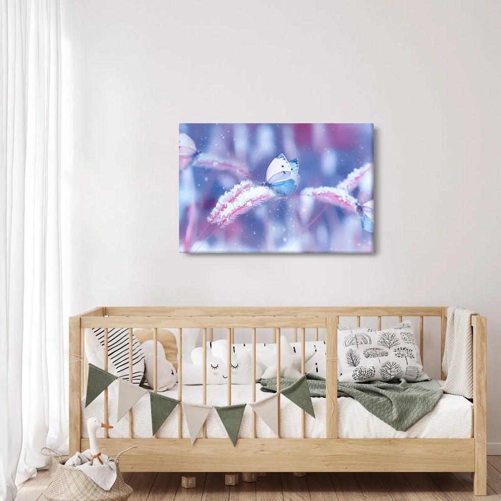 Obraz - Motýle v zime (90x60 cm)