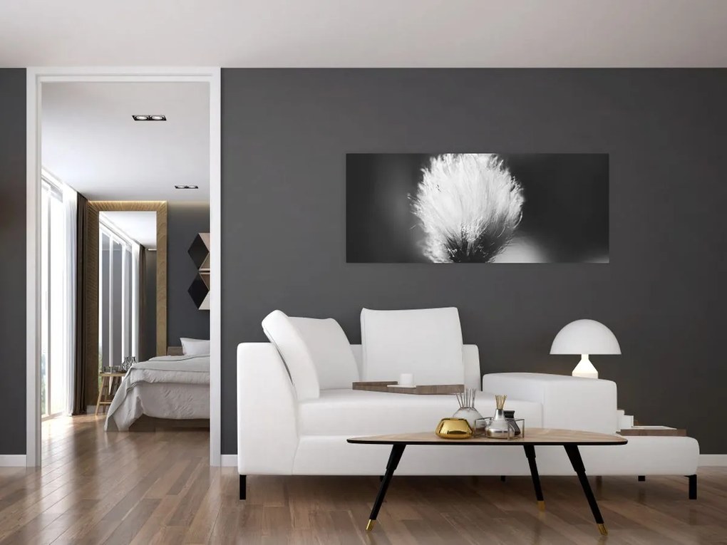 Obraz - Čiernobiely cottongrass (120x50 cm)